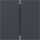 Gira 349528 Wippe 2f gerade System 55 Anthrazit