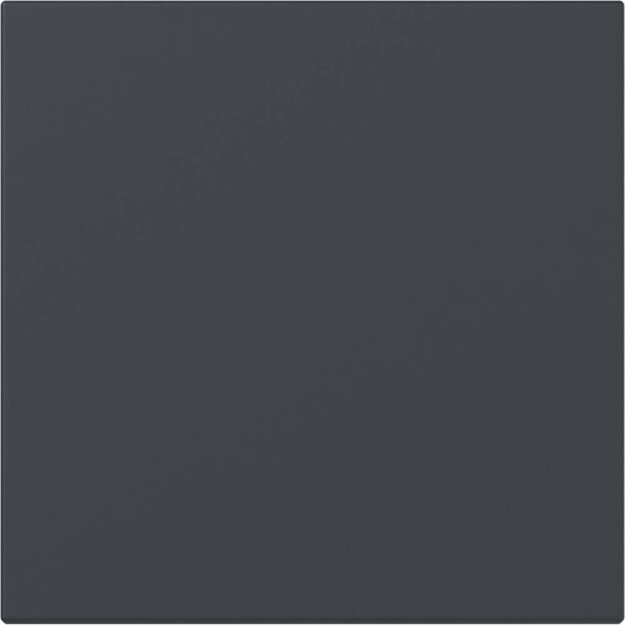 Gira 349628 Wippe gerade System 55 Anthrazit