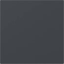 Gira 349628 Wippe gerade System 55 Anthrazit