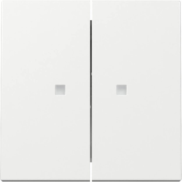 Gira 363103 Wippe 2f Kontrollfenster System 55...