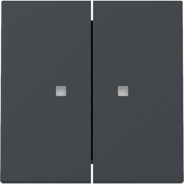 Gira 363128 Wippe 2f Kontrollfenster System 55 Anthrazit