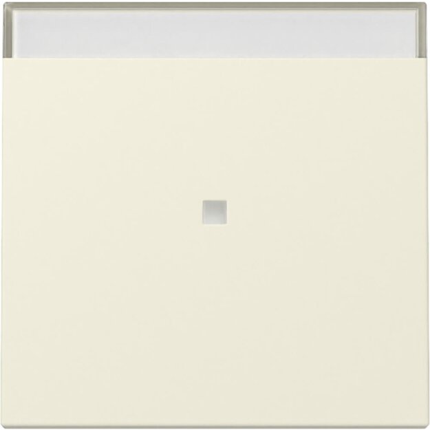 Gira 367001 Wippe Kontrollfenster + BSF System 55...