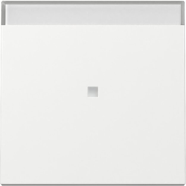 Gira 367003 Wippe Kontrollfenster + BSF System 55 Reinweiß