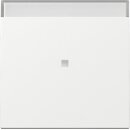 Gira 367003 Wippe Kontrollfenster + BSF System 55...