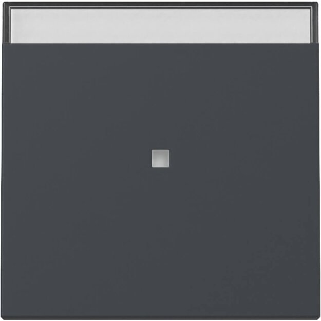 Gira 367028 Wippe Kontrollfenster + BSF System 55 Anthrazit