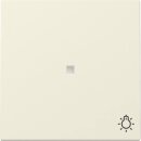 Gira 367401 Wippe Kontrollfenster + Symbol Licht System...