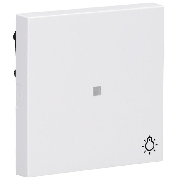 Gira 367403 Wippe Kontrollfenster + Symbol Licht System 55 Reinweiß
