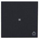 Gira 367428 Wippe Kontrollfenster + Symbol Licht System...
