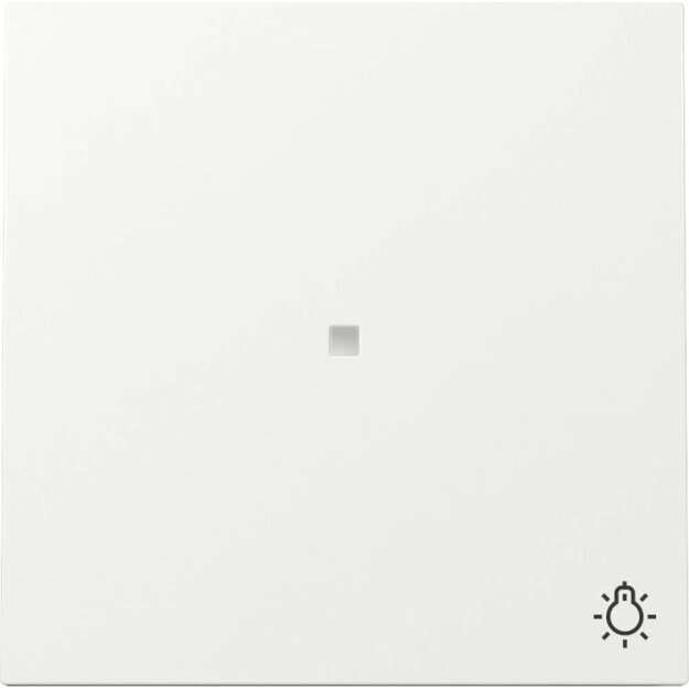 Gira 367470 Wippe Kontrollfenster + Symbol Licht Flächenschalter Reinweiß