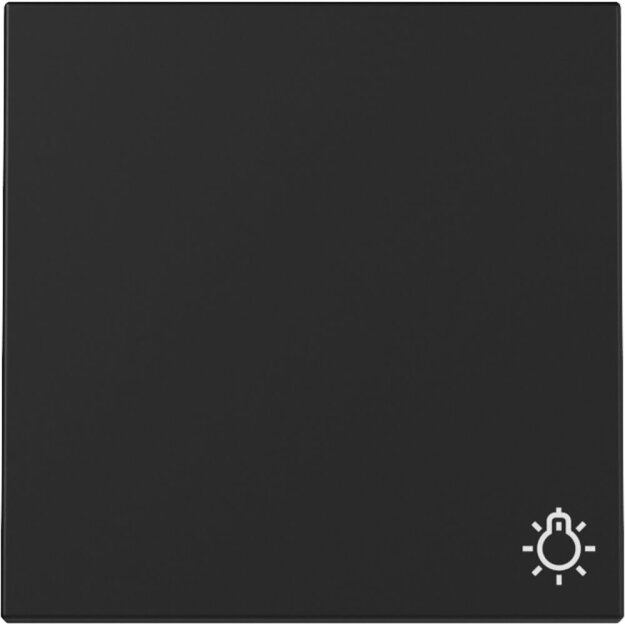 Gira 3285005 Wippe Symbol Licht System 55 Schwarz matt