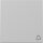 Gira 3286015 Wippe Symbol Klingel System 55 Grau matt