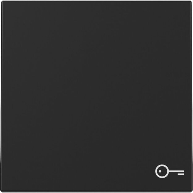 Gira 3287005 Wippe Symbol Tür System 55 Schwarz matt