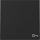 Gira 3287005 Wippe Symbol Tür System 55 Schwarz matt