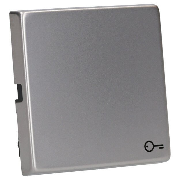 Gira 3287600 Wippe Symbol Tür System 55 Edelstahl