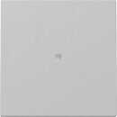 Gira 3290015 Wippe Kontrollfenster System 55 Grau matt