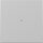 Gira 3290015 Wippe Kontrollfenster System 55 Grau matt