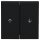 Gira 3294005 Wippe 2f Pfeil System 55 Schwarz matt