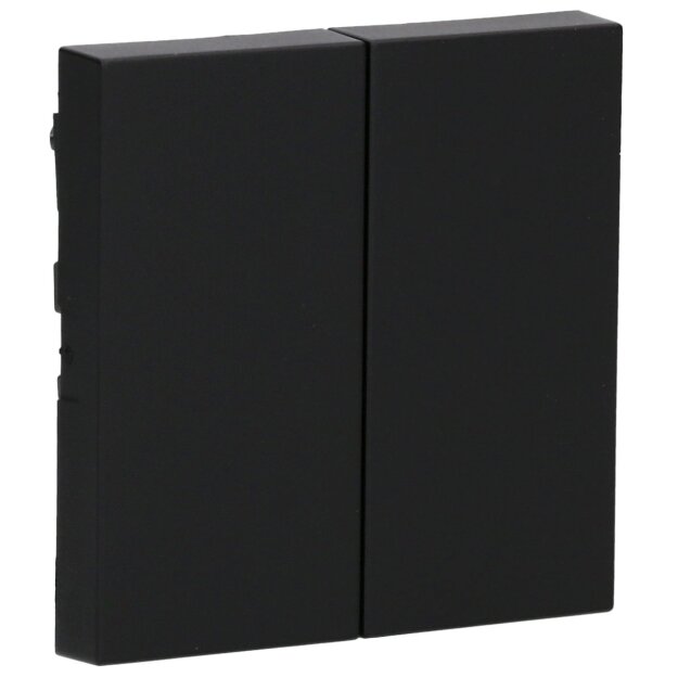 Gira 3295005 Wippe 2f System 55 Schwarz matt