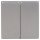 Gira 3295600 Wippe 2f System 55 Edelstahl