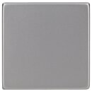 Gira 3296600 Wippe System 55 Edelstahl