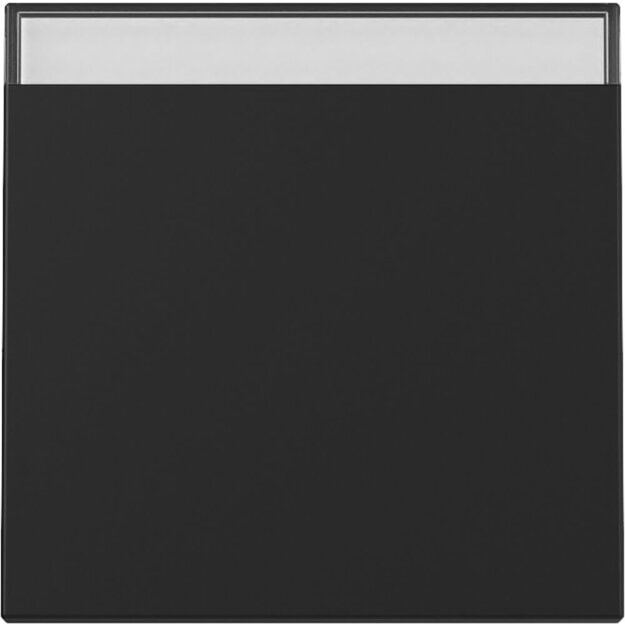 Gira 3299005 Wippe BSF System 55 Schwarz matt