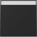Gira 3299005 Wippe BSF System 55 Schwarz matt