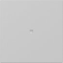 Gira 3490015 Wippe gerade Kontrollfenster System 55 Grau...