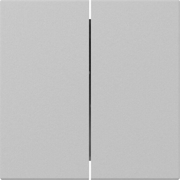 Gira 3495015 Wippe 2f gerade System 55 Grau matt