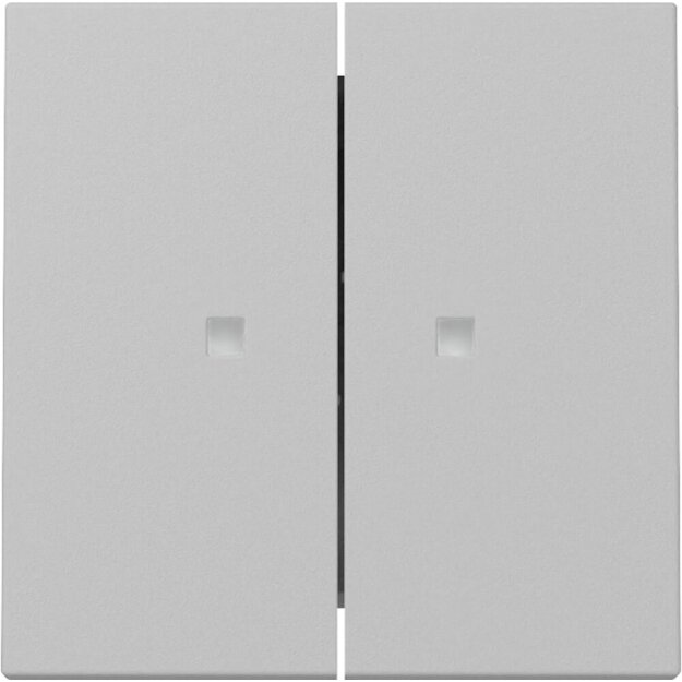 Gira 3631015 Wippe 2f Kontrollfenster System 55 Grau matt