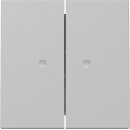 Gira 3631015 Wippe 2f Kontrollfenster System 55 Grau matt