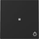 Gira 3674005 Wippe Kontrollfenster + Symbol Licht System...