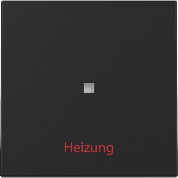 Gira 3678005 Wippe Kontrollfenster + Heizung Ein/Aus System 55 Schwarz matt