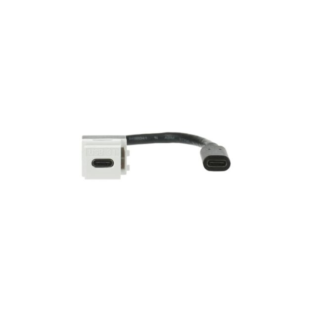 Busch-Jaeger 0229/12 Kabelpeitsche USB Keystone 2CKA000230A0480
