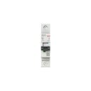 AEG EN101C01 Leitungsschutzschalter, Elfaplus 10kA,...