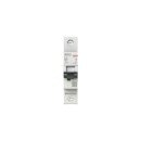 AEG EN101C02 Leitungsschutzschalter, Elfaplus 10kA,...