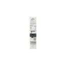 AEG EN101C06 Leitungsschutzschalter, Elfaplus 10kA,...