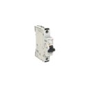 AEG EN251B06 Sicherungsautomat B-Char., 25kA, 6A, 1P 2CDS381088R0065