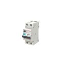 AEG DN100C16/A100 LSFI-Schalter 1P+N Typ A, C-Char., 16A, 100mA, 10kA 2CSR975131R2164