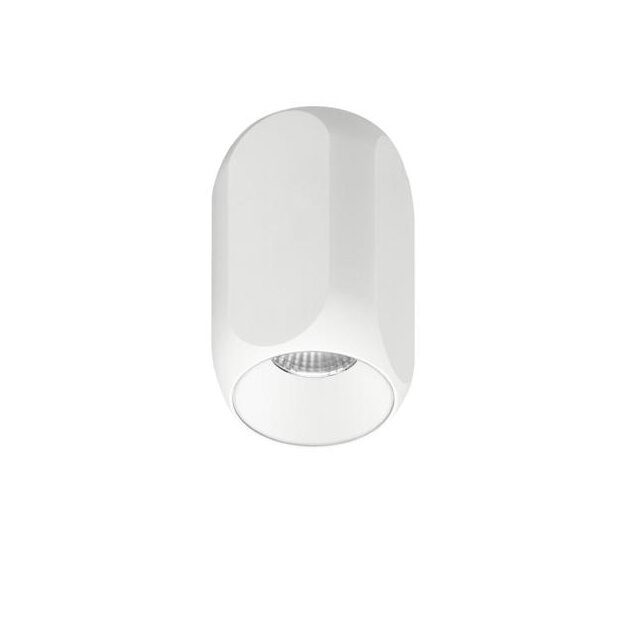 Brumberg 12122173 LED-Decken-Anbaudownlight 230 V AC, 4 W