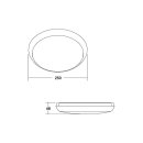 Brumberg 10028183 LED-Decken-Wandanbauleuchte