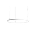 Brumberg 84030174 LED-Pendel-Ring, D=800mm, DALI-2, 4.00