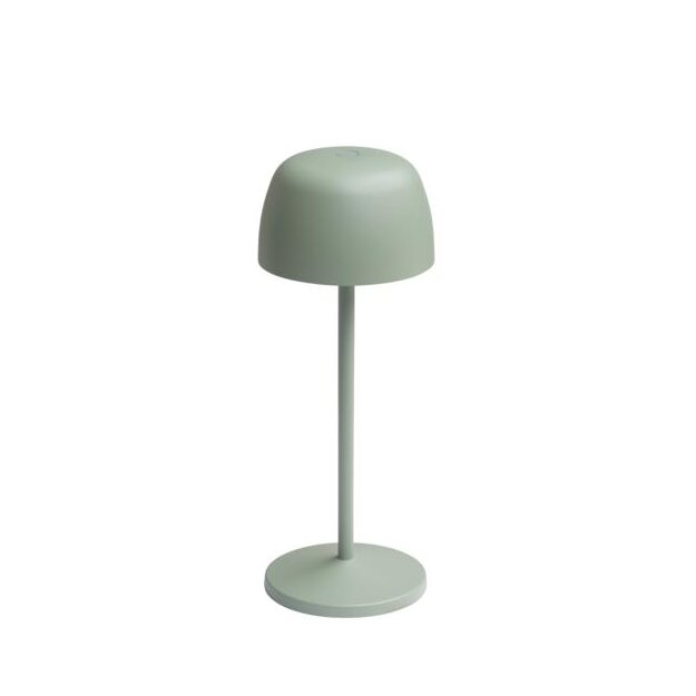 Brumberg 65401003SG LED-Akkutischleuchte 4,8 W