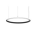 Brumberg 84070184CA LED-Pendel-Ring, D=800mm, Casambi, 4.0