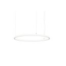 Brumberg 84110173MT LED-Pendel-Ring, D=800mm, Matter, 3.00