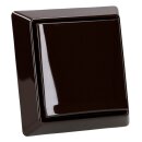 Busch-Jaeger Allwetter 44 Set: SCHUKO Steckdose mit Klappdeckel 20 EUGK-31-101 IP 44 +1-fach Rahmen 2101-31, Braun
