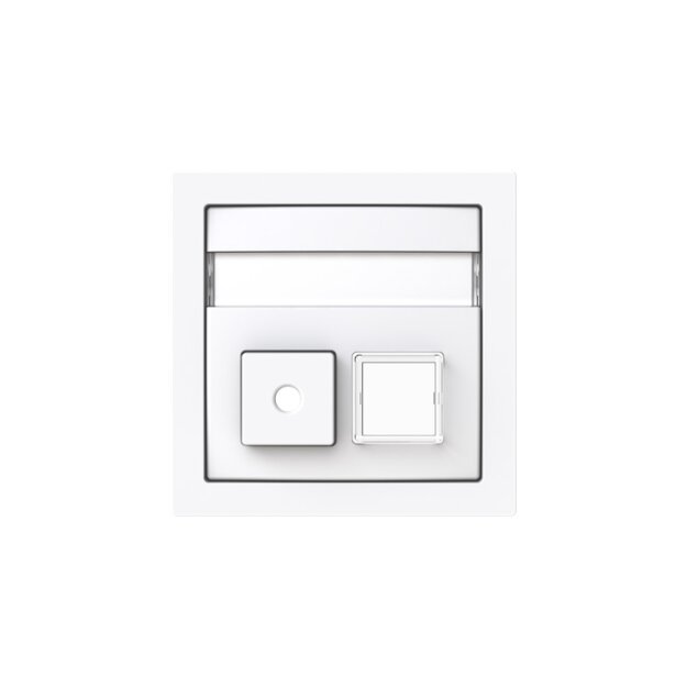 Busch-Jaeger 1572 CN-44G Zentralscheibe 2-fach Infoline Studioweiß Art Linear 2CKA001582A0447