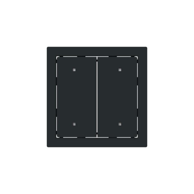 Busch-Jaeger 2570-20-45M Wippe für Elektroniktaster 2-fach Schwarz Matt Art Linear 2CKA001751A3320
