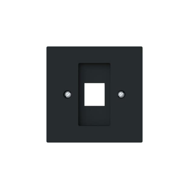 Busch-Jaeger 2561-45M Zentralscheibe mit Tragring Modular-Jack Schwarz Matt Art Linear 2CKA001753A9925