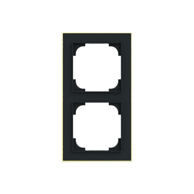 Busch-Jaeger 1722-453M Rahmen 2-fach mit Dekorring Schwarz Matt Art Linear 2CKA001754A4909