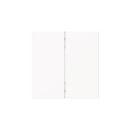 Busch-Jaeger 6736 FoH-44M Wippe 2-fach Smart Switch...